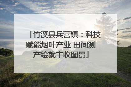 竹溪县兵营镇：科技赋能烟叶产业 田间测产绘就丰收图景