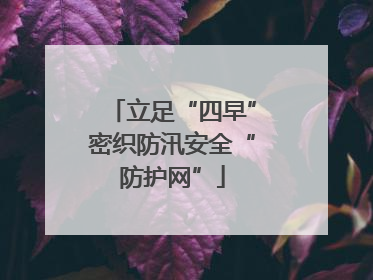 立足“四早”密织防汛安全“防护网”