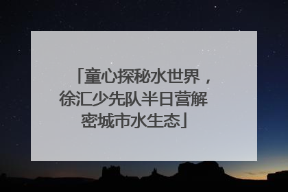 童心探秘水世界，徐汇少先队半日营解密城市水生态