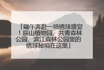 端午奔赴一场绣球盛宴！辰山植物园、共青森林公园、滨江森林公园里的绣球秘境在这里