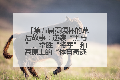 第五届贡嘎杯的幕后故事：逆袭“黑马”、常胜“将军”和高原上的“体育奇迹”丨微纪录