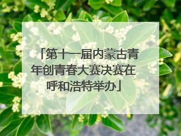 第十一届内蒙古青年创青春大赛决赛在呼和浩特举办