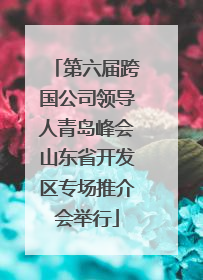 第六届跨国公司领导人青岛峰会山东省开发区专场推介会举行