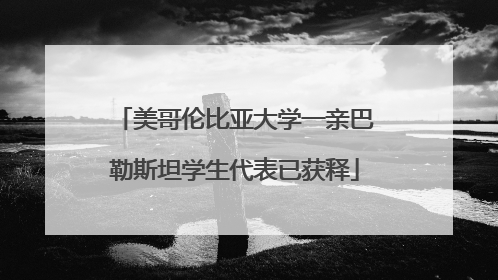 美哥伦比亚大学一亲巴勒斯坦学生代表已获释
