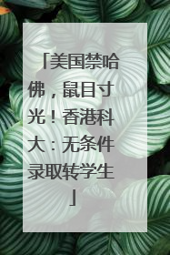 美国禁哈佛，鼠目寸光！香港科大：无条件录取转学生