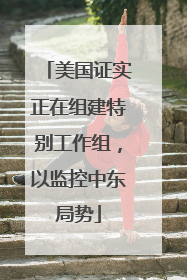 美国证实正在组建特别工作组，以监控中东局势