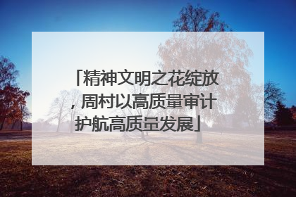 精神文明之花绽放，周村以高质量审计护航高质量发展