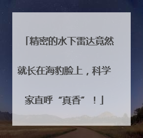 精密的水下雷达竟然就长在海豹脸上，科学家直呼“真香”！