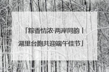 粽香情浓·两岸同韵丨湖里台胞共迎端午佳节