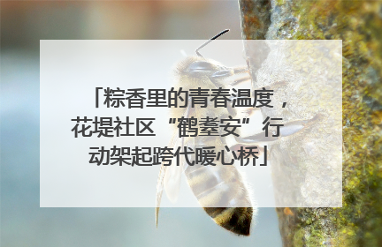 粽香里的青春温度，花堤社区“鹤耋安”行动架起跨代暖心桥