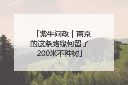 紫牛问政｜南京的这条路缘何留了200米不种树