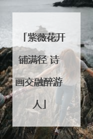 紫薇花开铺满径 诗画交融醉游人