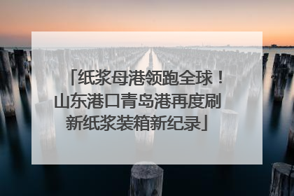 纸浆母港领跑全球！山东港口青岛港再度刷新纸浆装箱新纪录