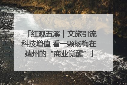 红观五溪｜文旅引流 科技增值 看一颗杨梅在靖州的“商业觉醒”