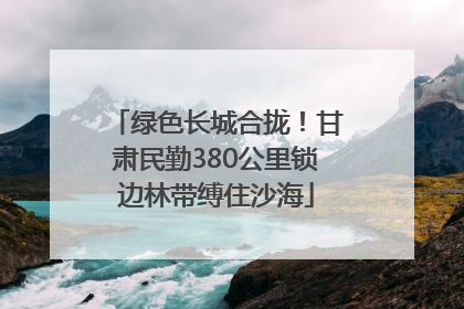绿色长城合拢！甘肃民勤380公里锁边林带缚住沙海