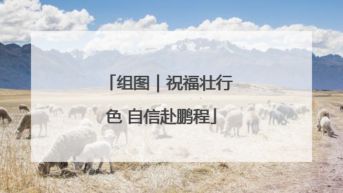 组图｜祝福壮行色 自信赴鹏程