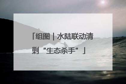 组图｜水陆联动清剿“生态杀手”