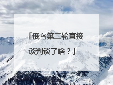 俄乌第二轮直接谈判谈了啥？