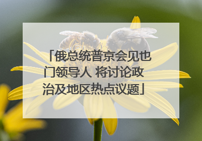 俄总统普京会见也门领导人 将讨论政治及地区热点议题