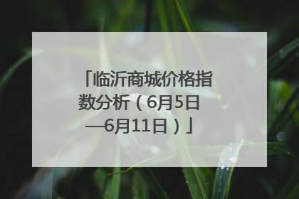 临沂商城价格指数分析（6月5日—6月11日）