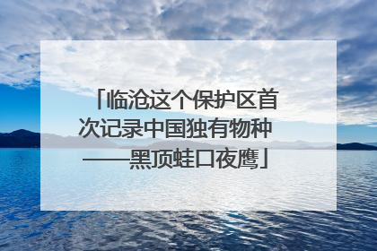 临沧这个保护区首次记录中国独有物种——黑顶蛙口夜鹰