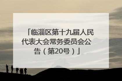临淄区第十九届人民代表大会常务委员会公告（第20号）
