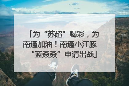 为“苏超”喝彩，为南通加油！南通小江豚“蓝叒叒”申请出战