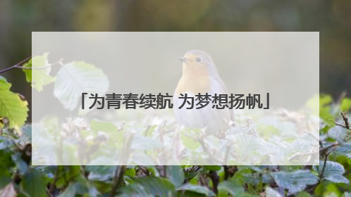 为青春续航 为梦想扬帆