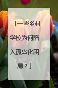 一些乡村学校为何陷入孤岛化困局？