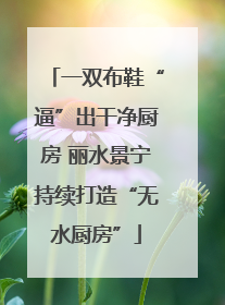 一双布鞋“逼”出干净厨房 丽水景宁持续打造“无水厨房”