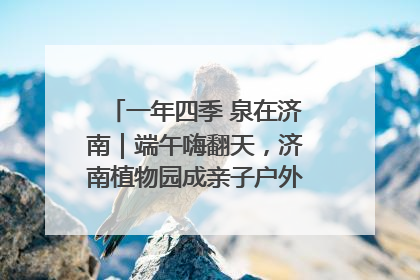 一年四季 泉在济南｜端午嗨翻天，济南植物园成亲子户外热门打卡地