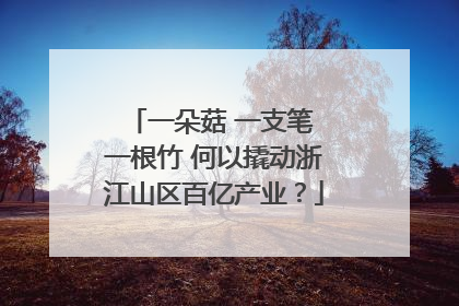一朵菇 一支笔 一根竹 何以撬动浙江山区百亿产业？