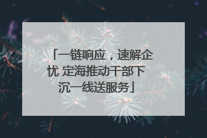 一链响应，速解企忧 定海推动干部下沉一线送服务