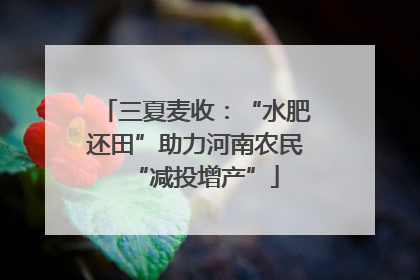 三夏麦收：“水肥还田”助力河南农民“减投增产”