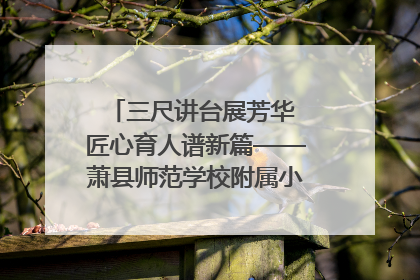 三尺讲台展芳华 匠心育人谱新篇——萧县师范学校附属小学第十三届班主任基本功大赛圆满举办