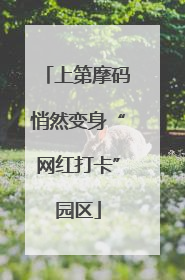 上第摩码悄然变身“网红打卡”园区