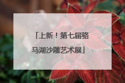 上新！第七届骆马湖沙雕艺术展