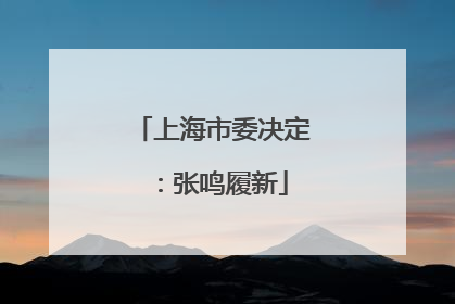 上海市委决定：张鸣履新