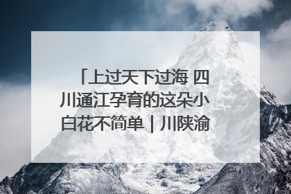 上过天下过海 四川通江孕育的这朵小白花不简单｜川陕渝网络名人巴中行