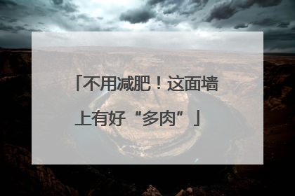 不用减肥！这面墙上有好“多肉”