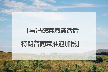 与冯德莱恩通话后 特朗普同意推迟加税