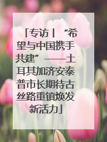 专访丨“希望与中国携手共建”——土耳其加济安泰普市长期待古丝路重镇焕发新活力