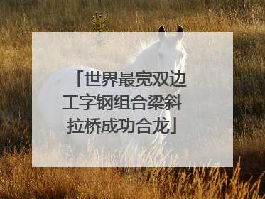 世界最宽双边工字钢组合梁斜拉桥成功合龙