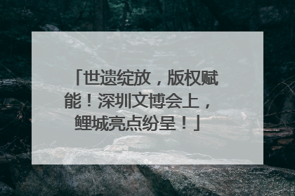 世遗绽放，版权赋能！深圳文博会上，鲤城亮点纷呈！