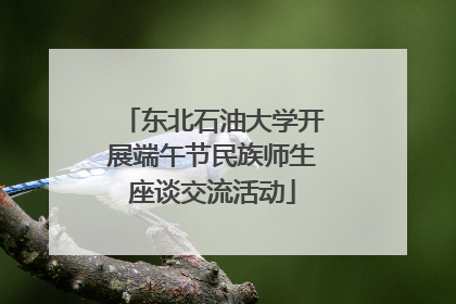 东北石油大学开展端午节民族师生座谈交流活动