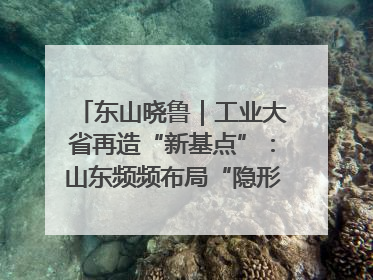 东山晓鲁｜工业大省再造“新基点”：山东频频布局“隐形冠军”背后