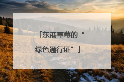东港草莓的“绿色通行证”