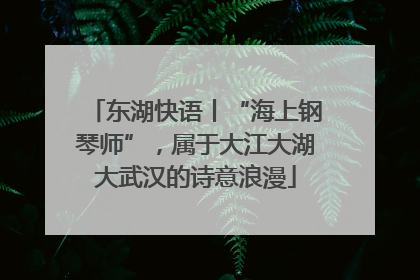 东湖快语丨“海上钢琴师”，属于大江大湖大武汉的诗意浪漫