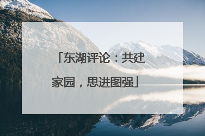 东湖评论：共建家园，思进图强
