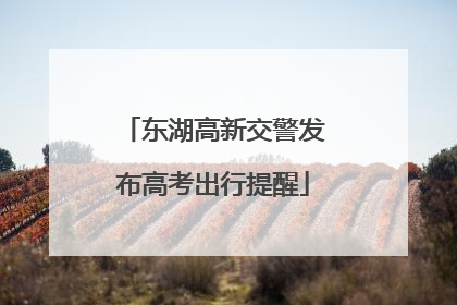 东湖高新交警发布高考出行提醒